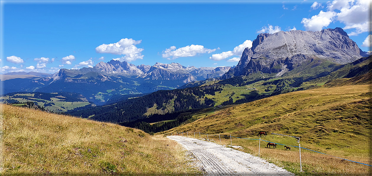 foto Rifugio Alpe di Tires